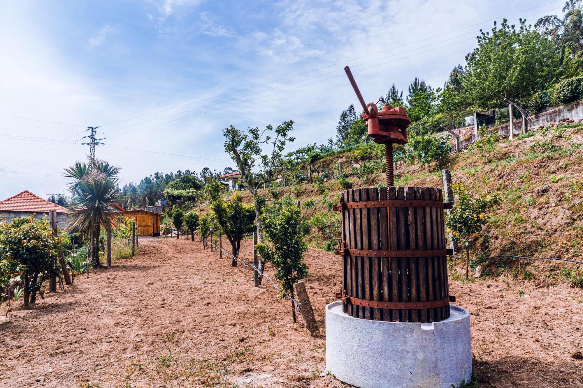 Country house A Casa Dos Avos