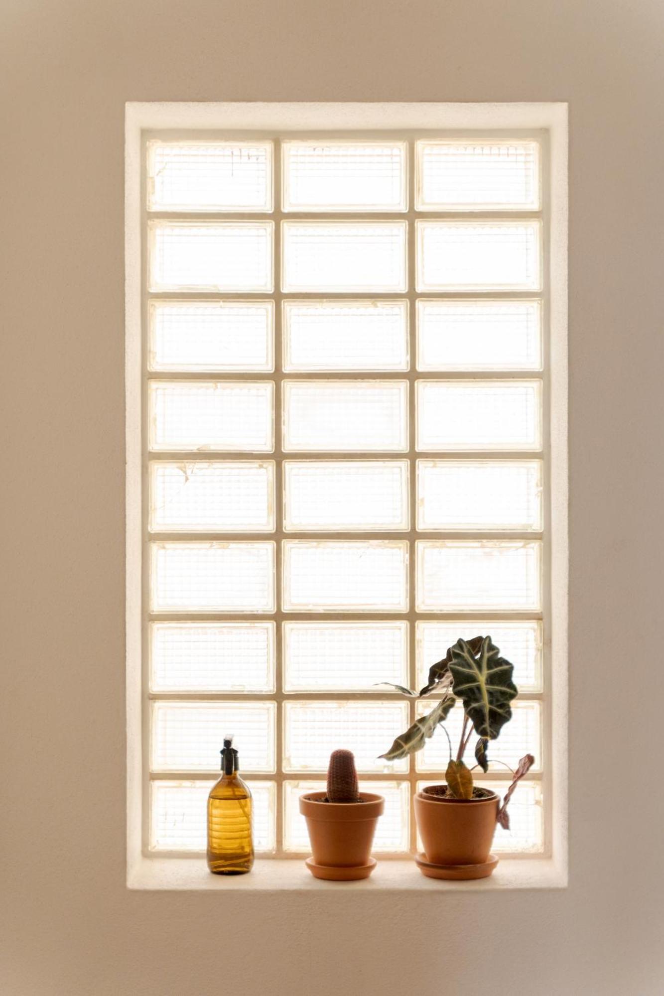 Manas Coliving Sines