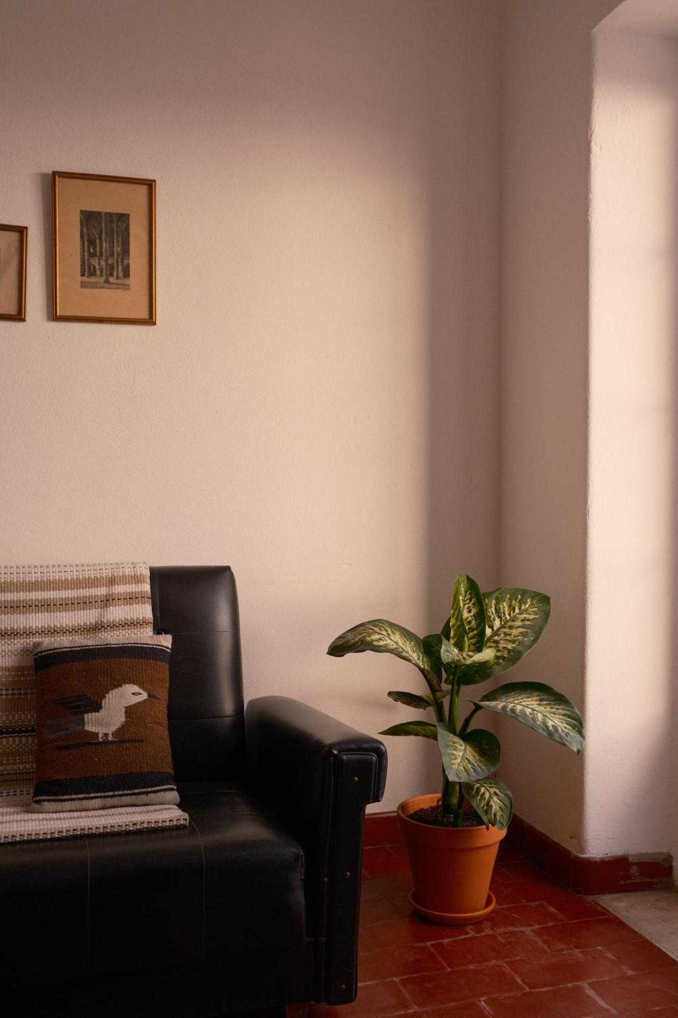 Manas Coliving *