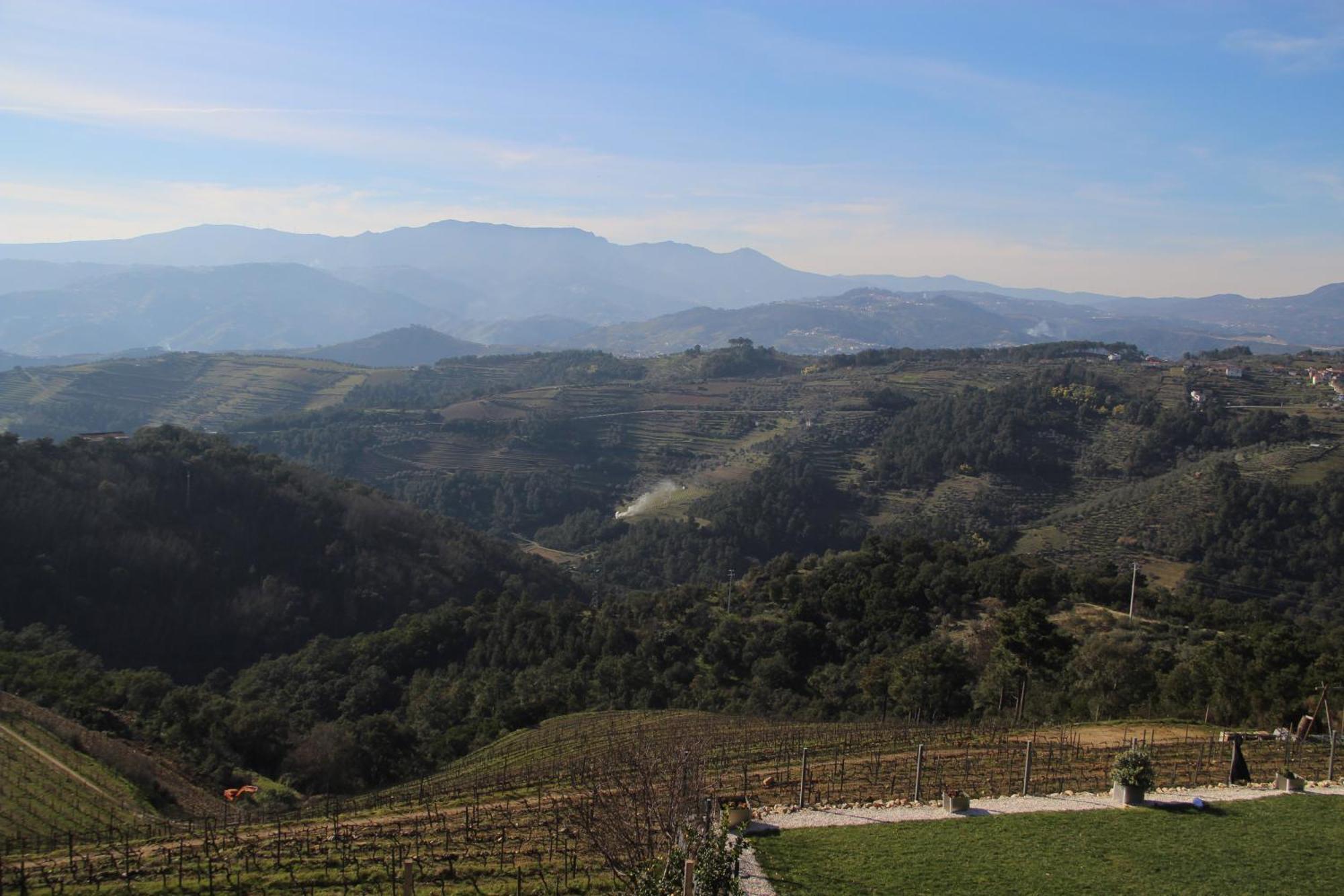 Quinta Da Corujeira Farm stay Vila Real