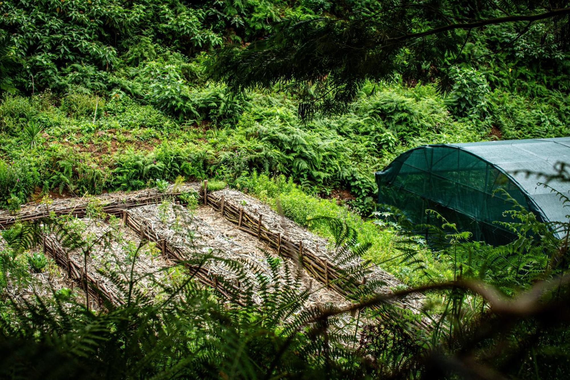 Arambha Ecovillage * Tabua (Madeira)