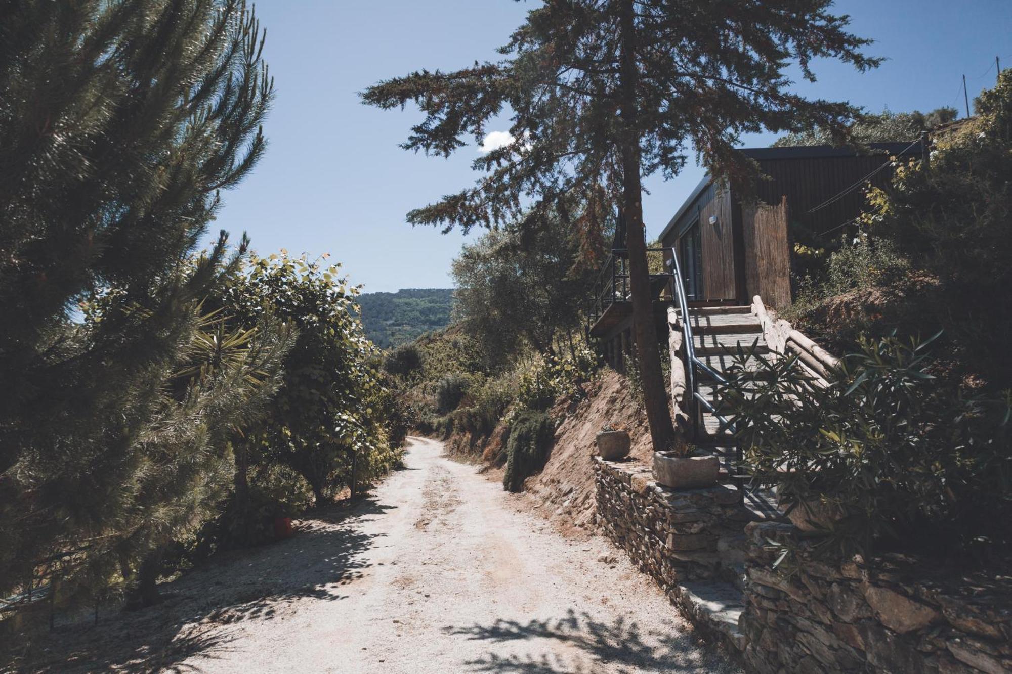Bed & Breakfast Quinta Da Portela Douro 3*