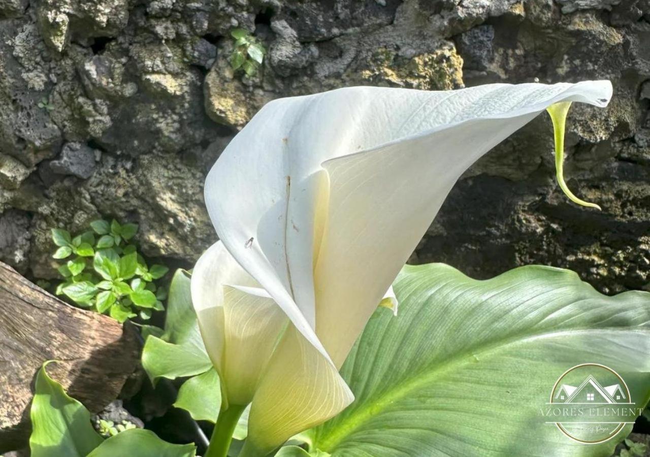 Pousada Azores Element