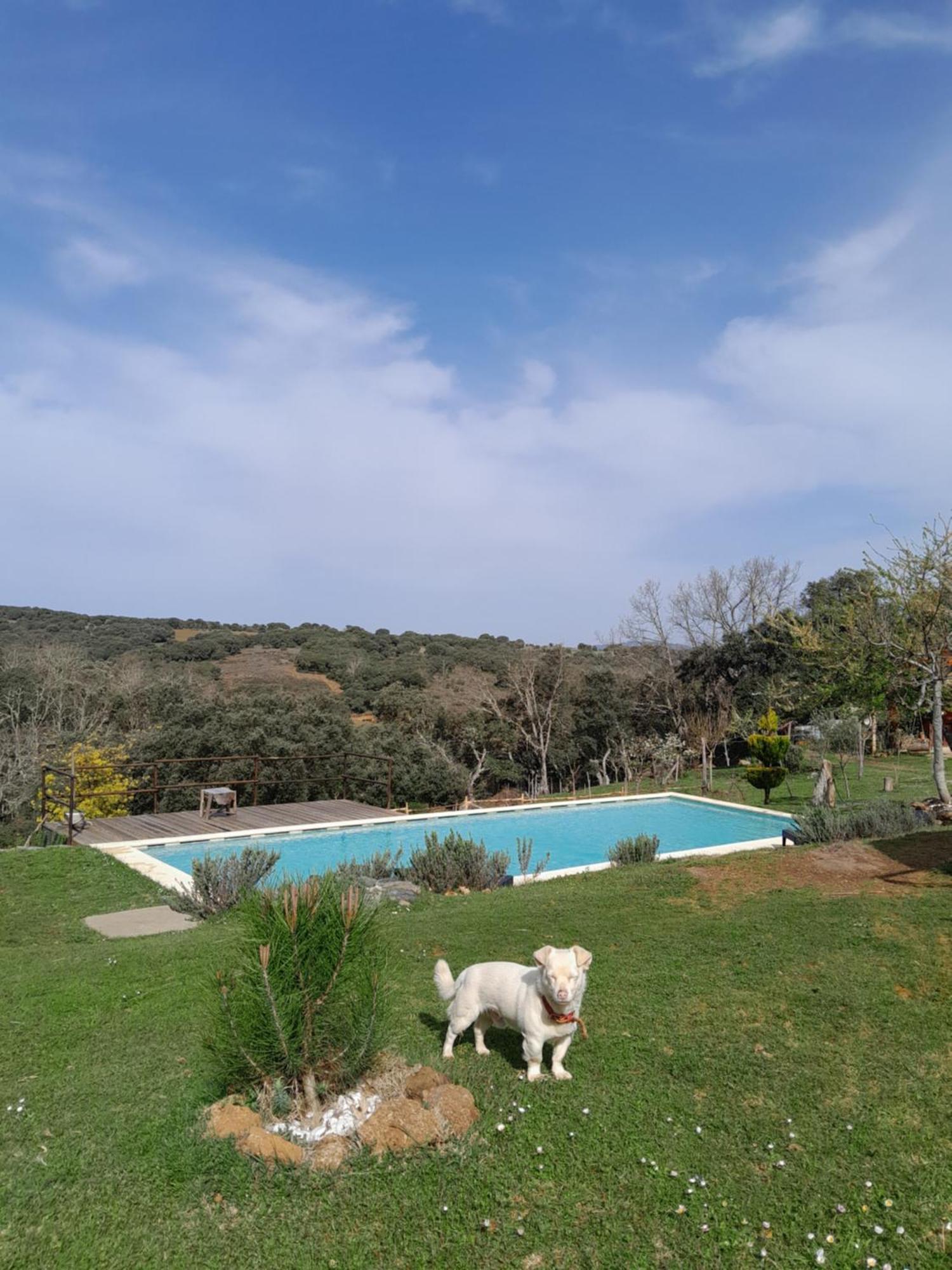 Quinta Da Devesa -b2 Vakantiepark