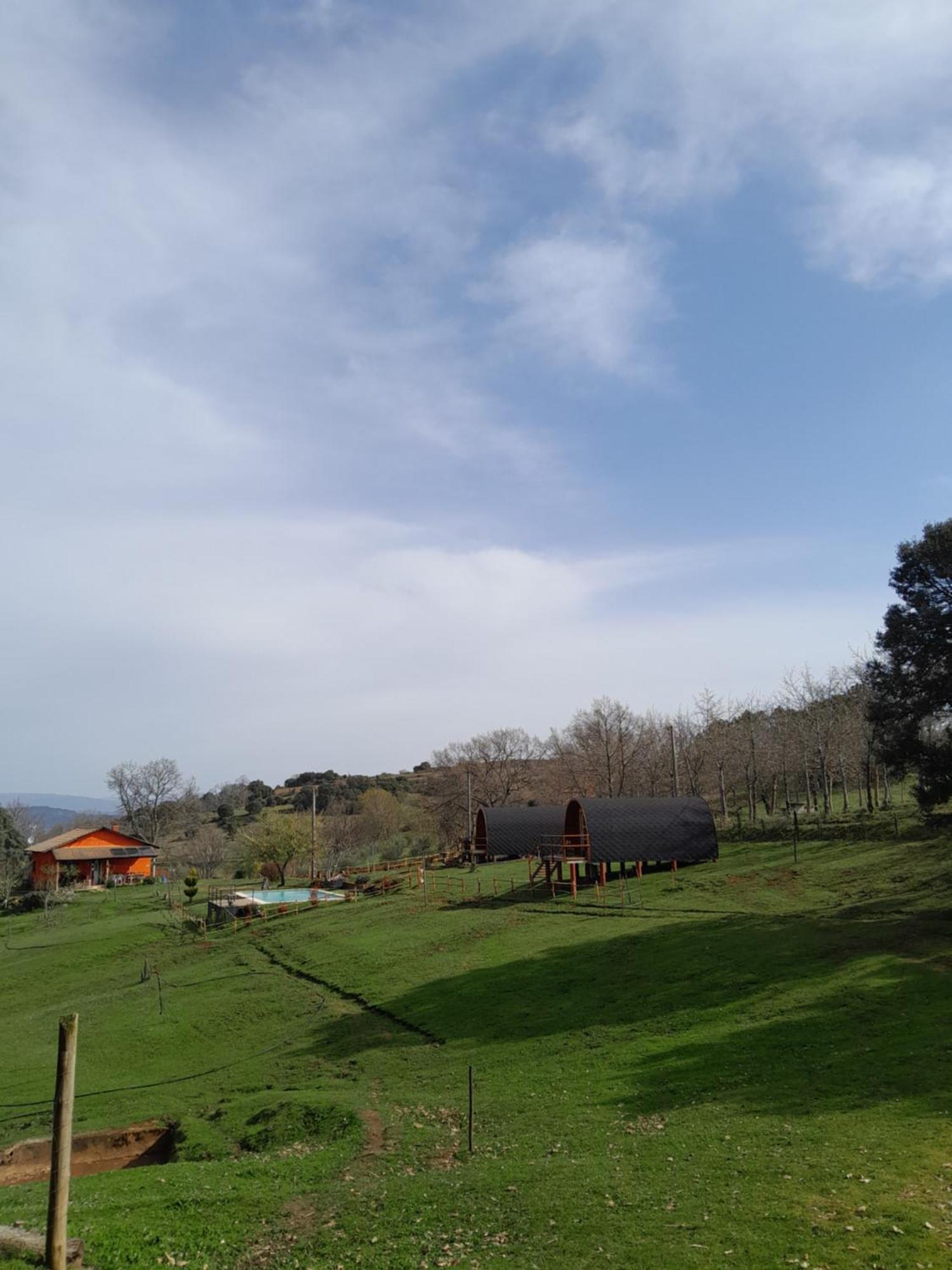 Quinta Da Devesa -b2 *