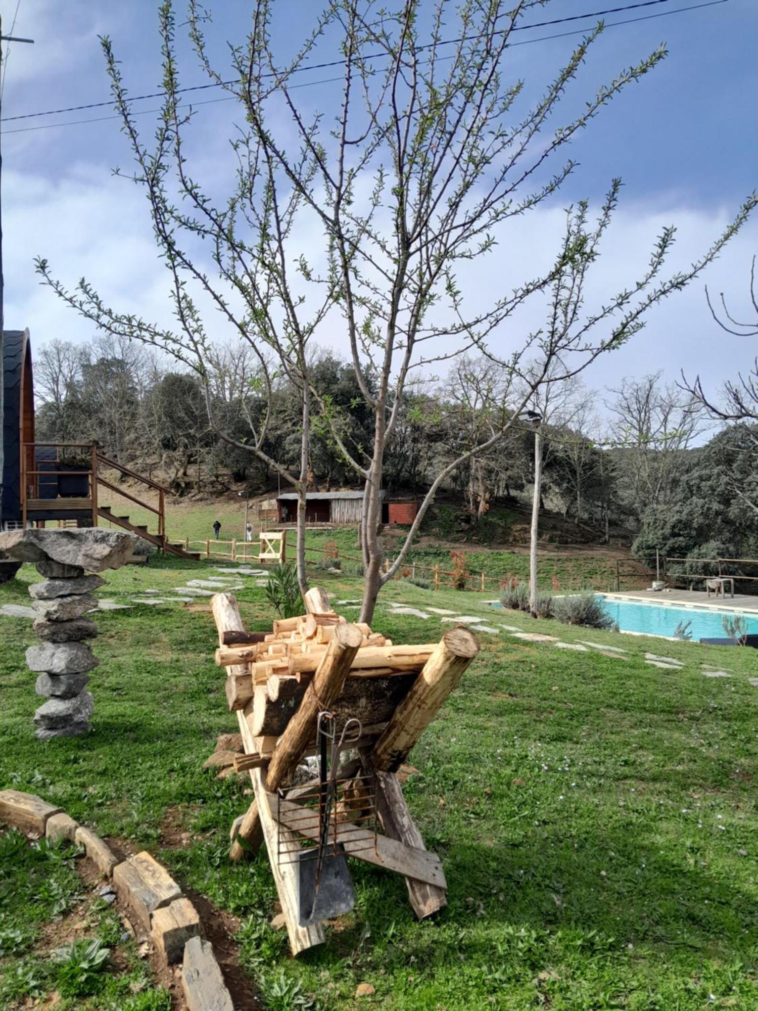 Quinta Da Devesa -b2 *