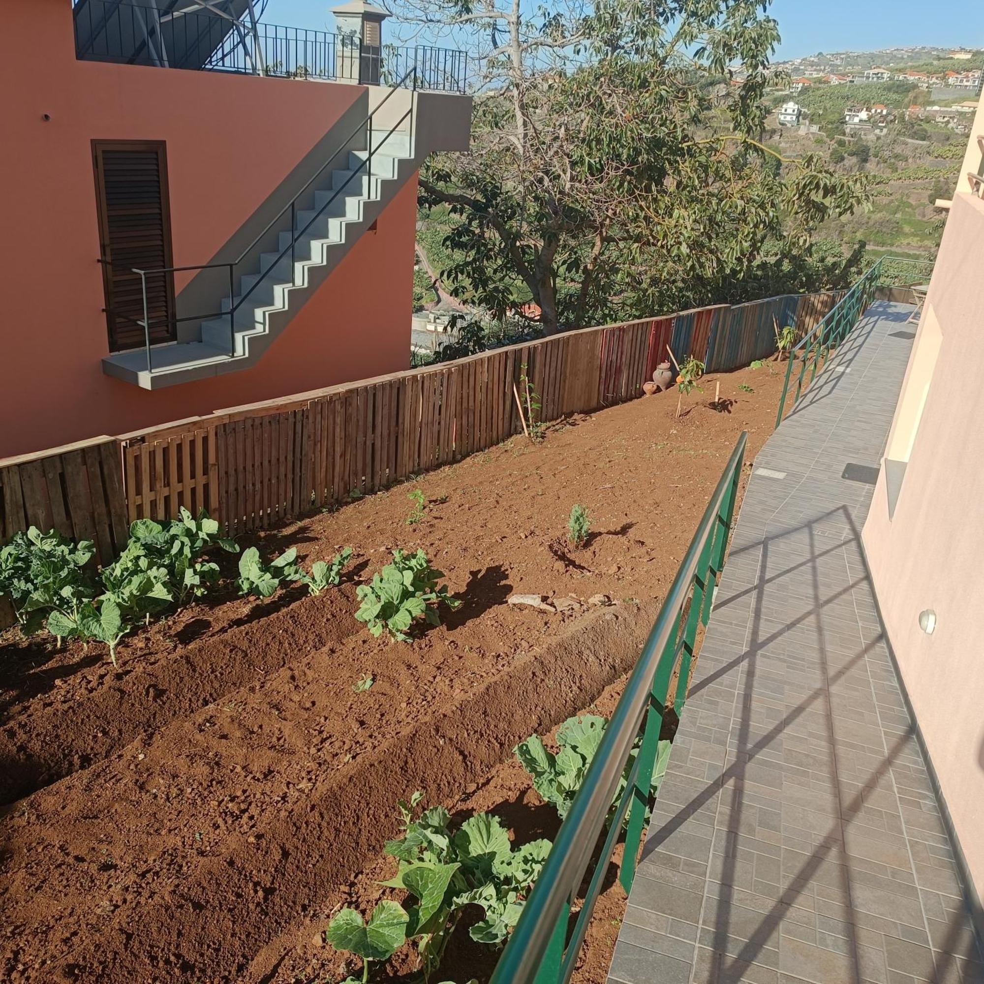 Casa Bela Vista 1 Ribeira Brava