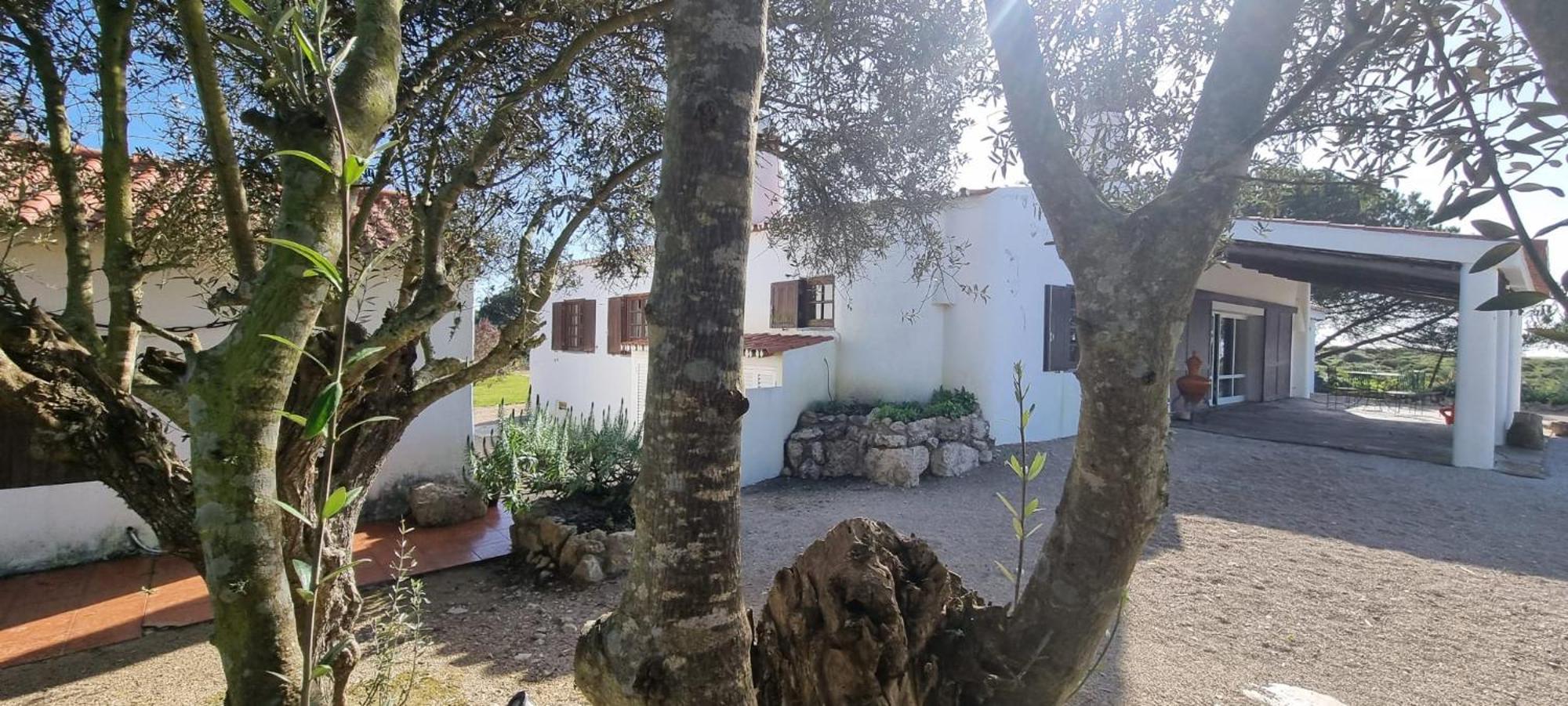 Sea House * Sesimbra