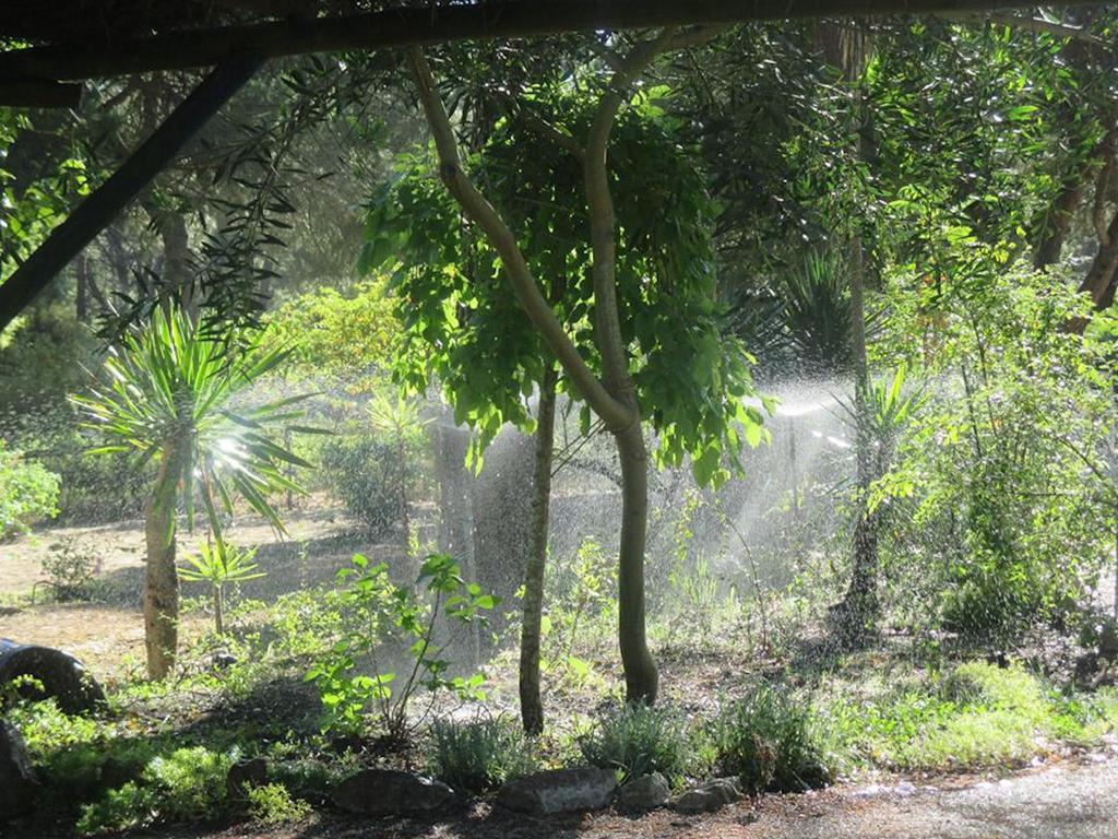 Casa Do Pateo Farm stay