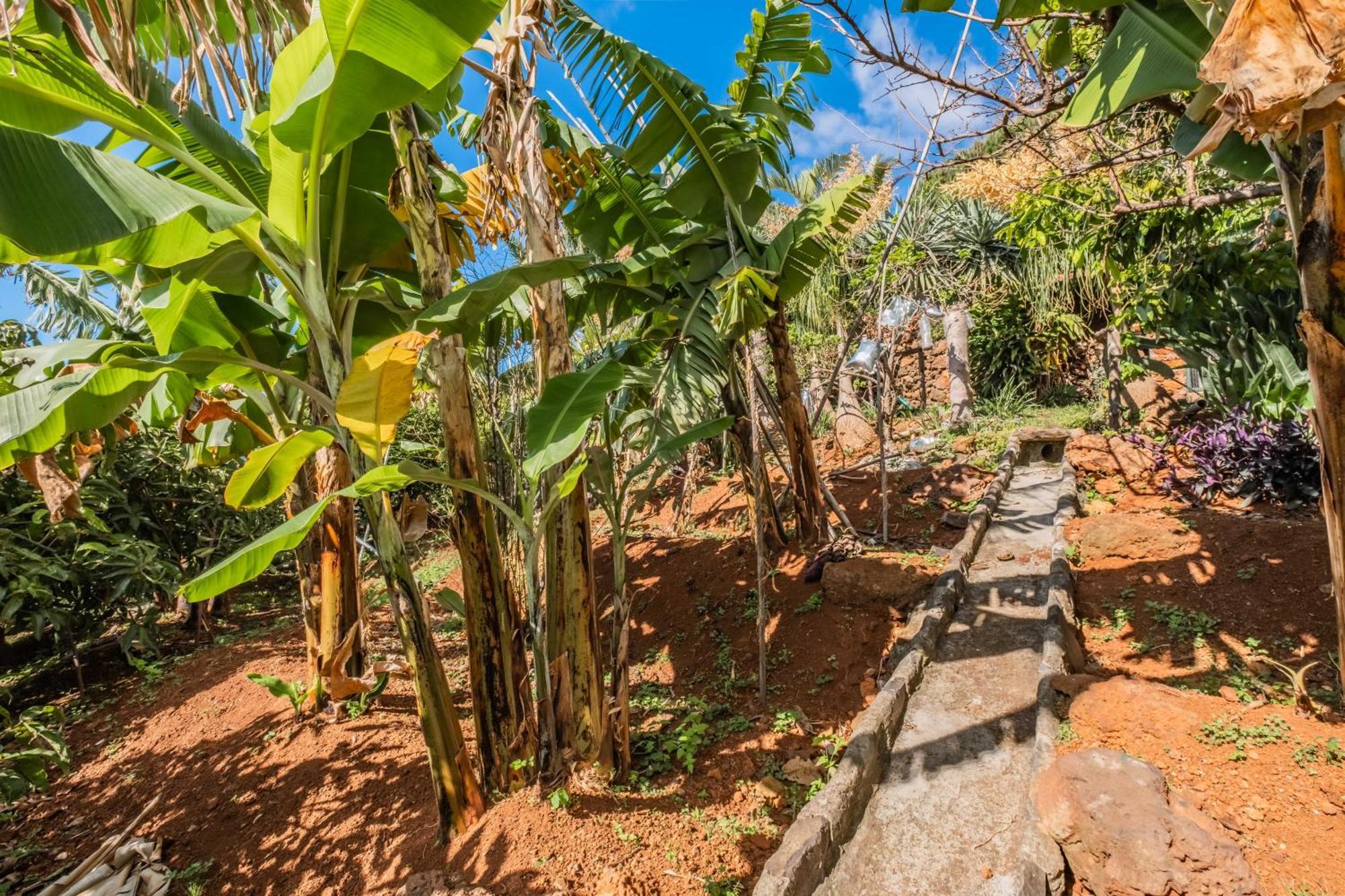 Biofuncho Garden