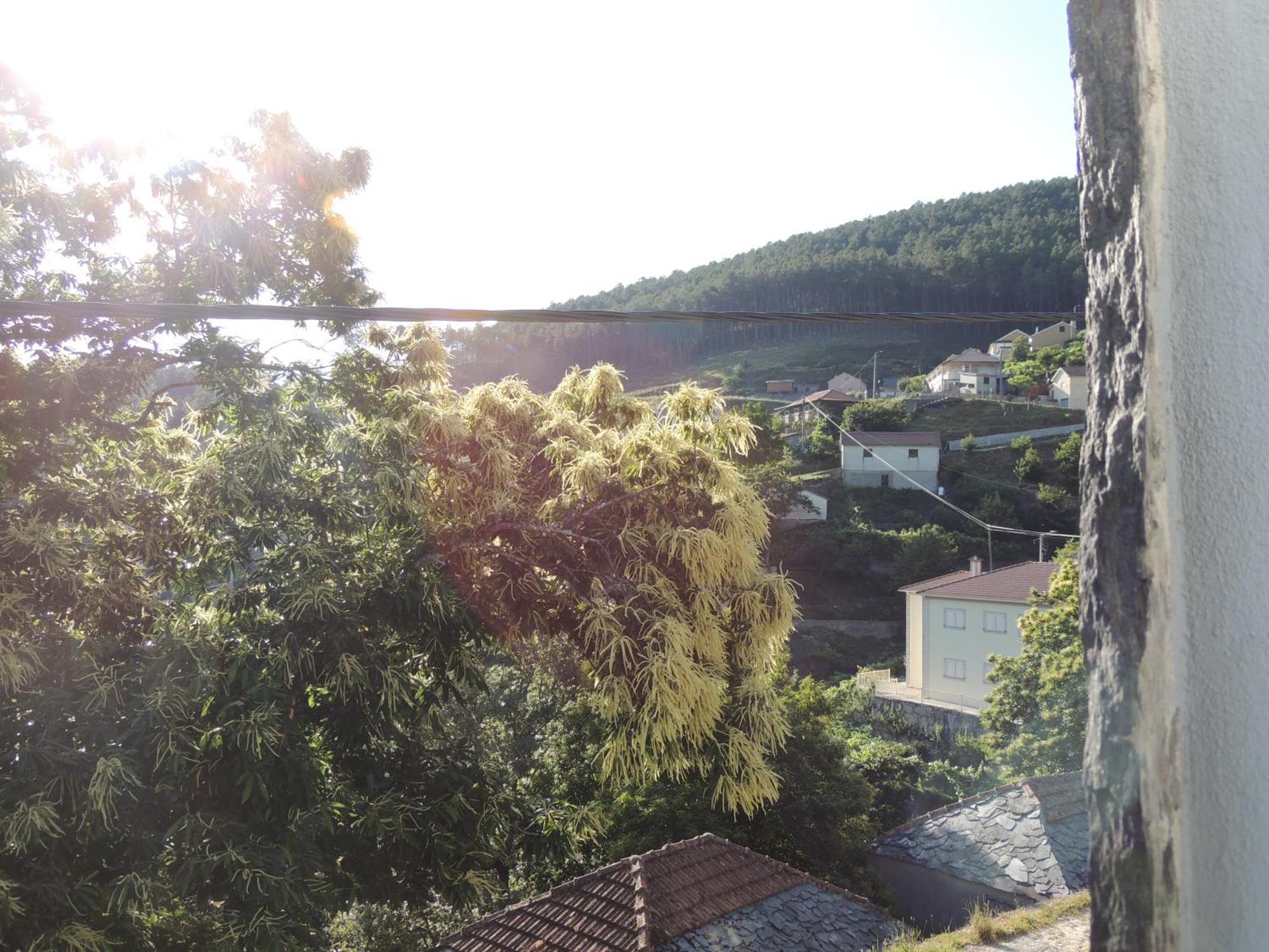 Casa Do Forno Fr Mondim de Basto