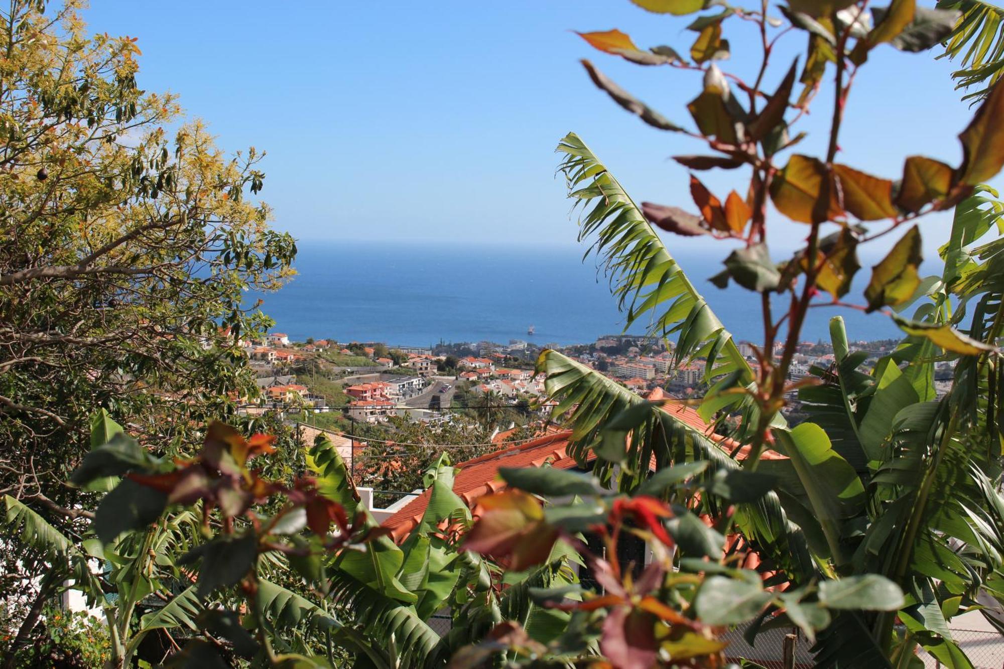 - Silvestre House Funchal (Madeira)