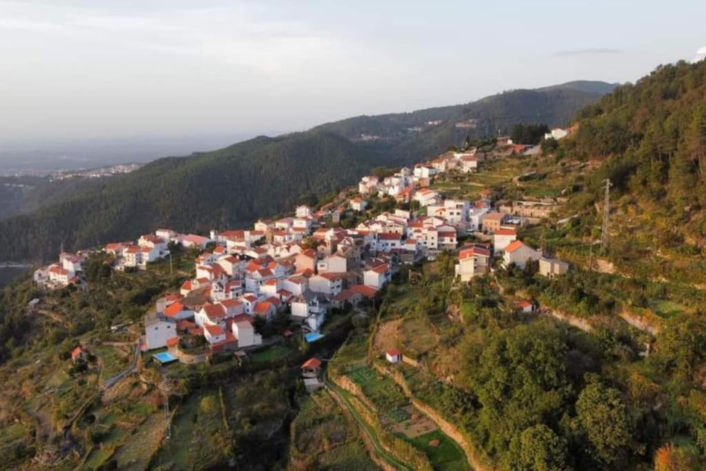 Casa Da Calcada - Piso 2 * Seia