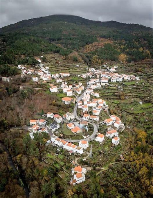 Casa Da Calcada - Piso 1 Holiday home *