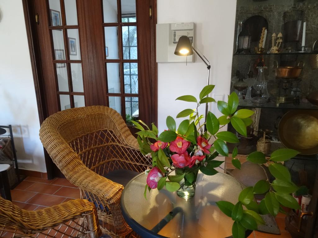My - Vina  - Ter Country house Monchique