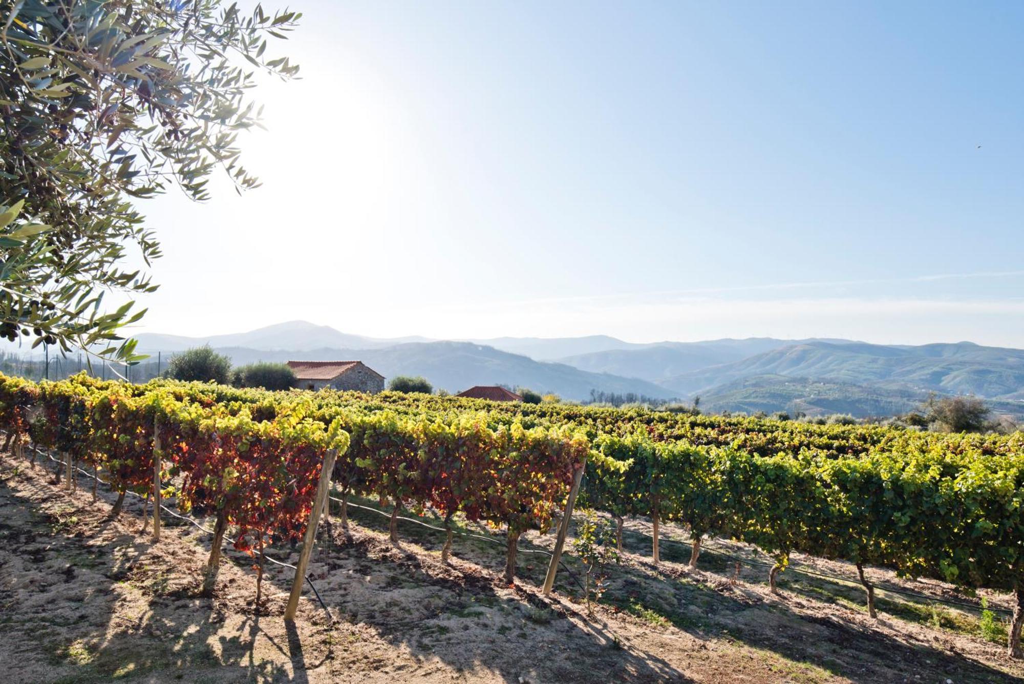 Hotel Lam Convento Do Desagravo 4*