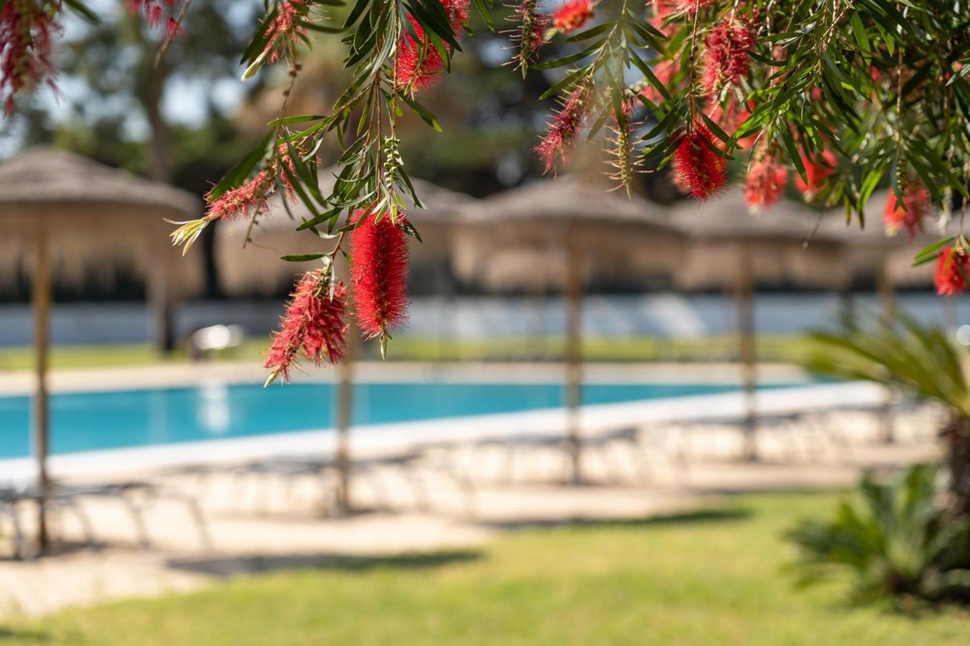 Park Nature & Business Hotel