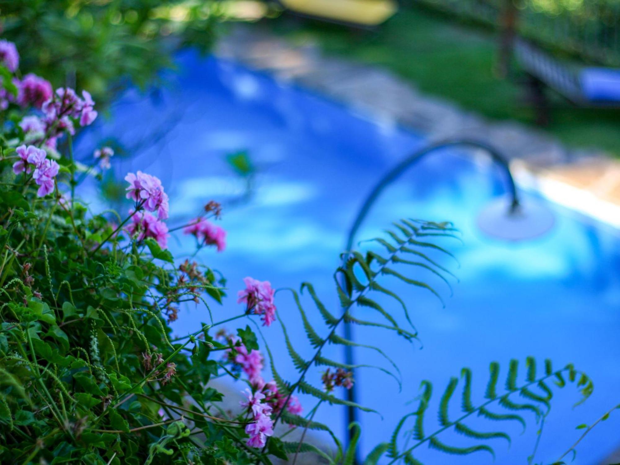 Guest house Calhau Grande