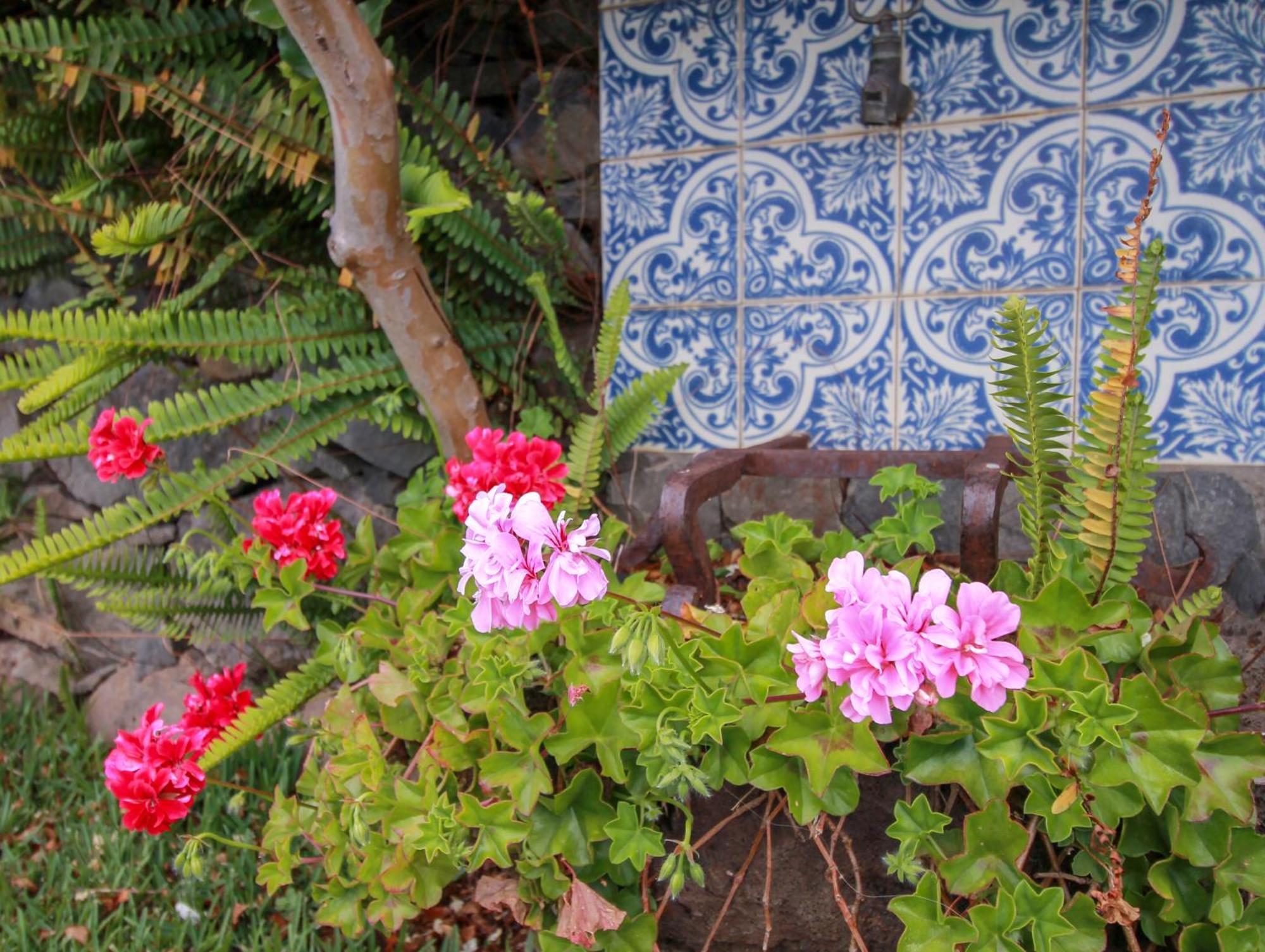 Calhau Grande Guest house