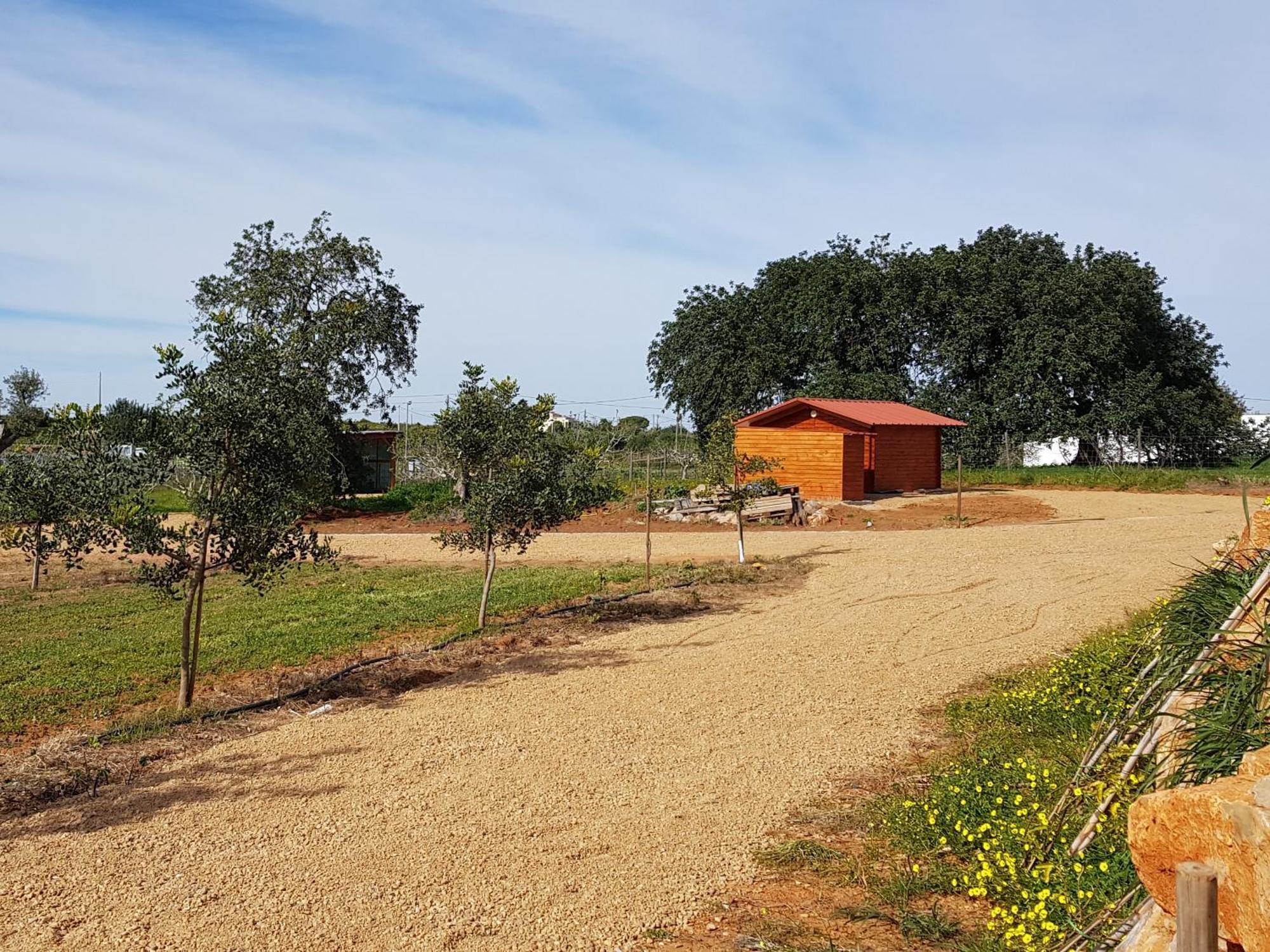 Quinta Da Bornacha - Casa B E Casa C