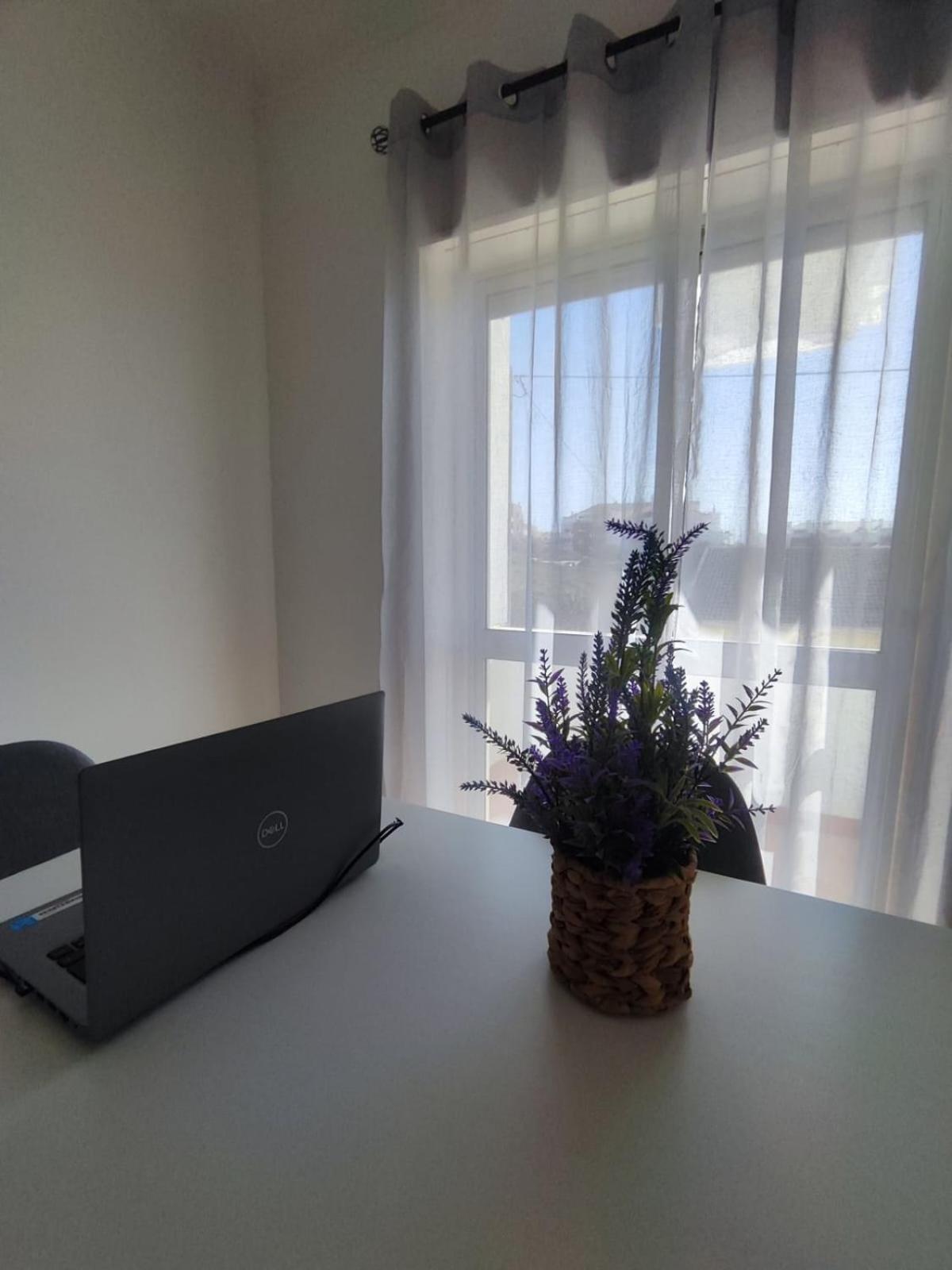 Apartment Seaview
