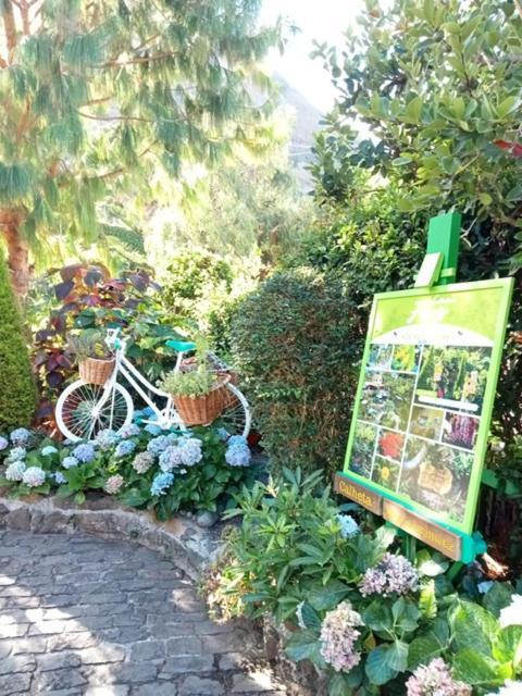 Casa Belojardim Holiday home