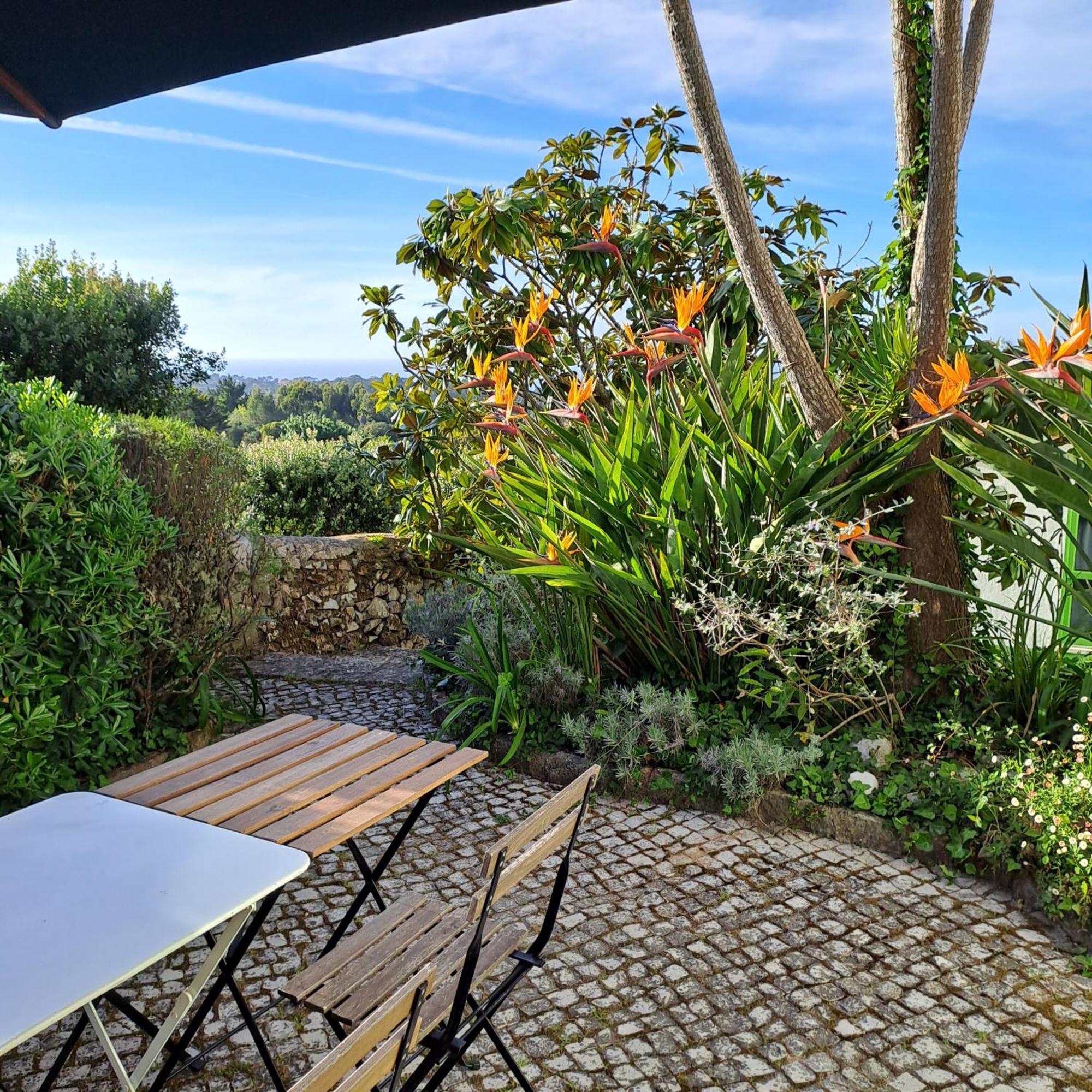 Сasa de vacaciones Sintra V3 In Nordstarnan, Quiet Landscape With Stunning Views Of The Atlantic Coast, Colares, Sintra Colares