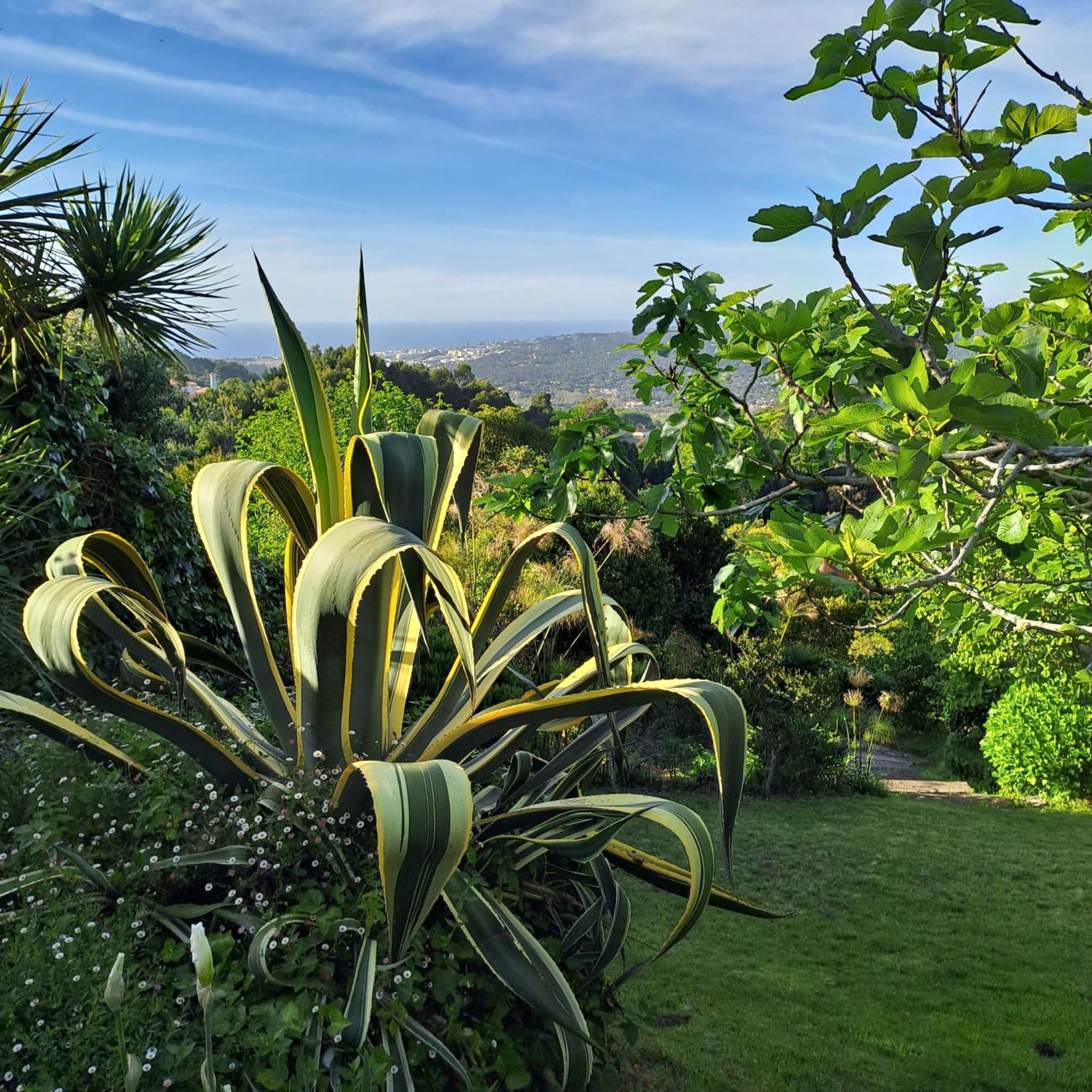 Sintra V3 In Nordstarnan, Quiet Landscape With Stunning Views Of The Atlantic Coast, Colares, Sintra Сasa de vacaciones