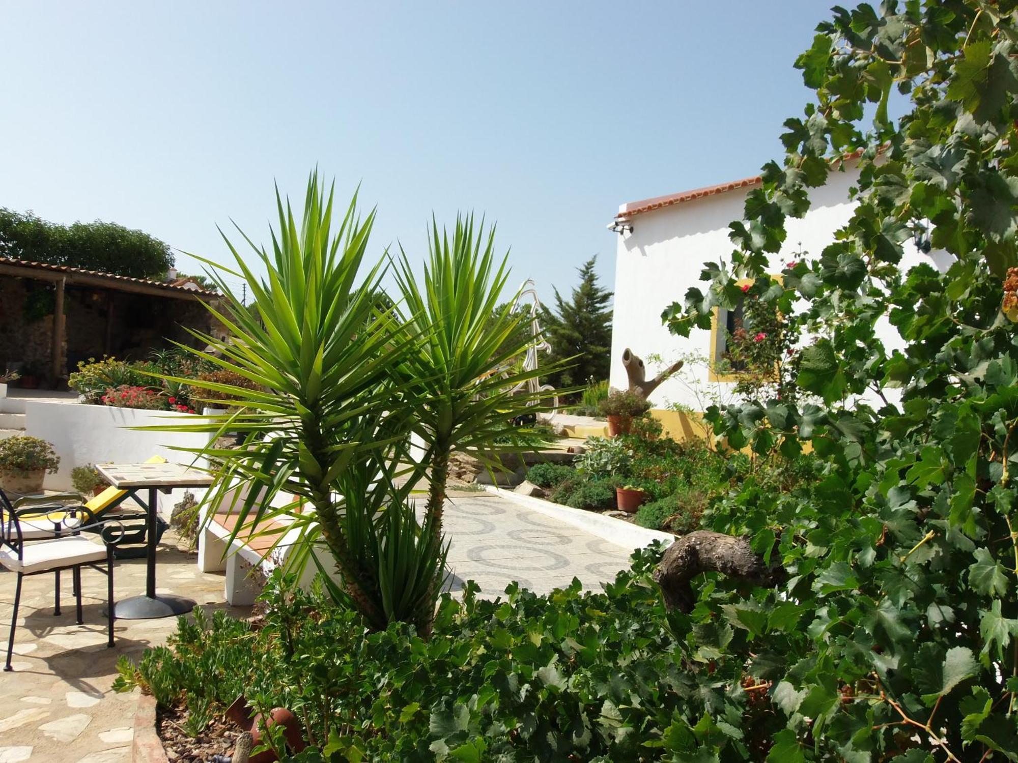Ninho Da Poupa Country house *