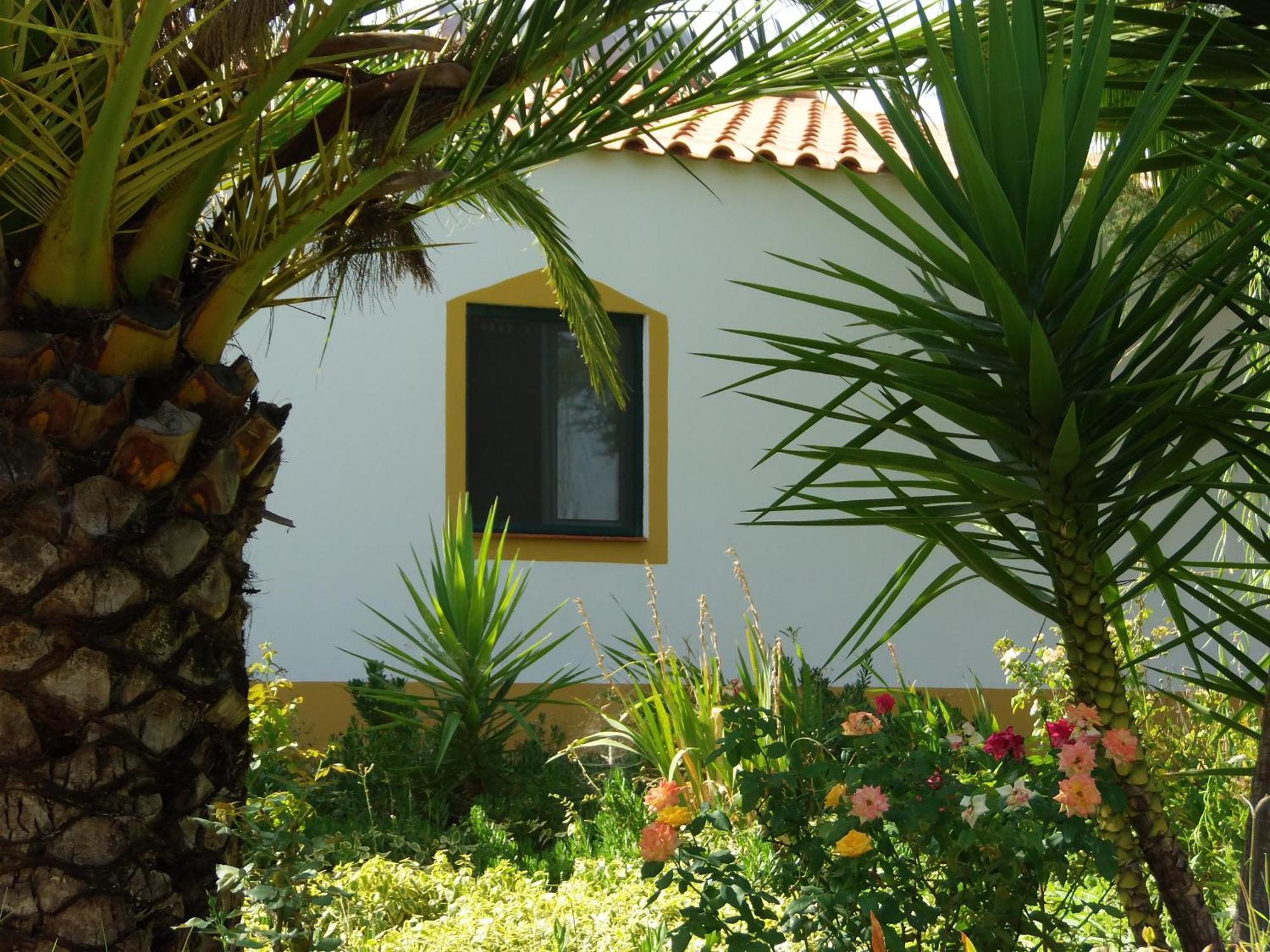 Ninho Da Poupa Country house Serpa