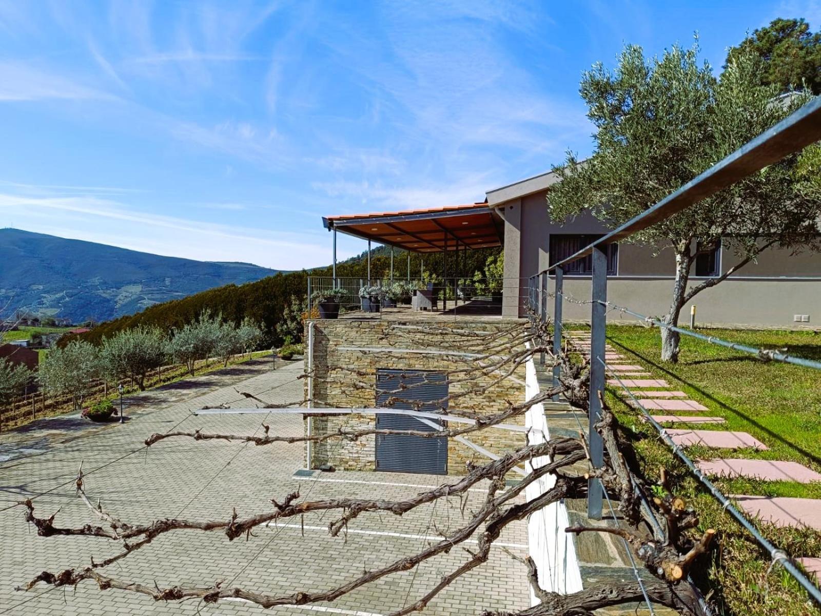 Quinta Manhas Douro * Provesende