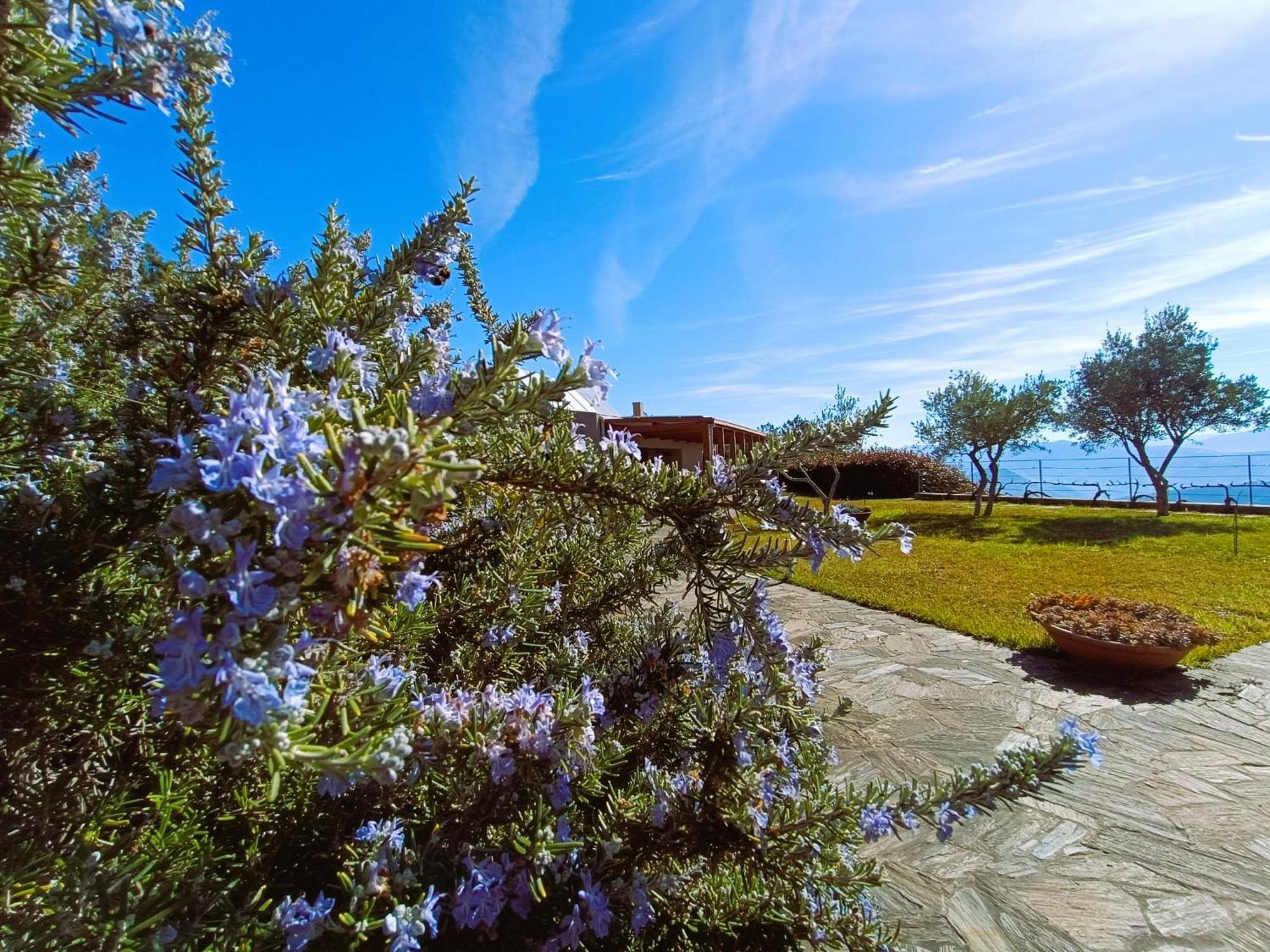 Quinta Manhas Douro Provesende