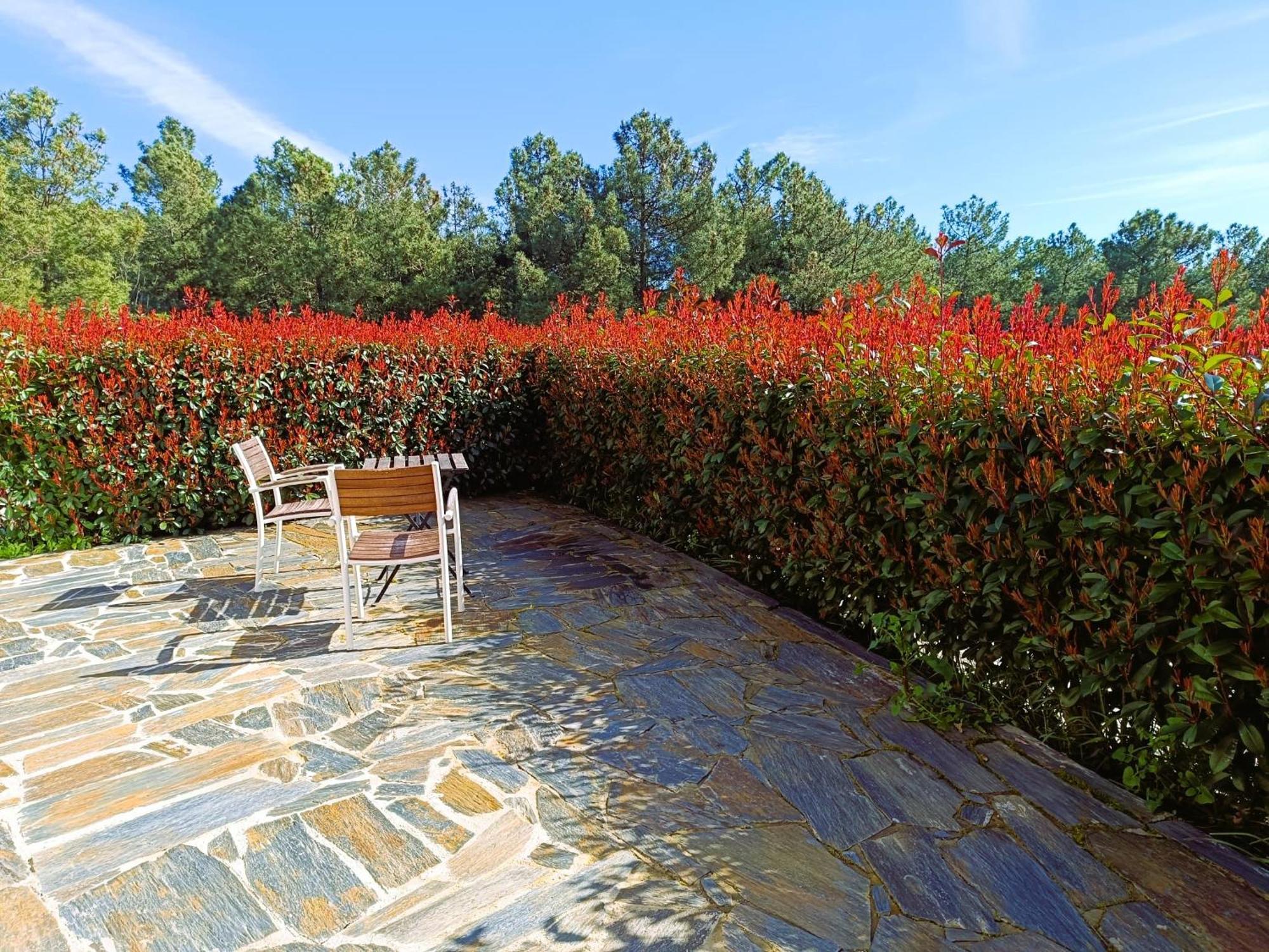 Country house Quinta Manhas Douro