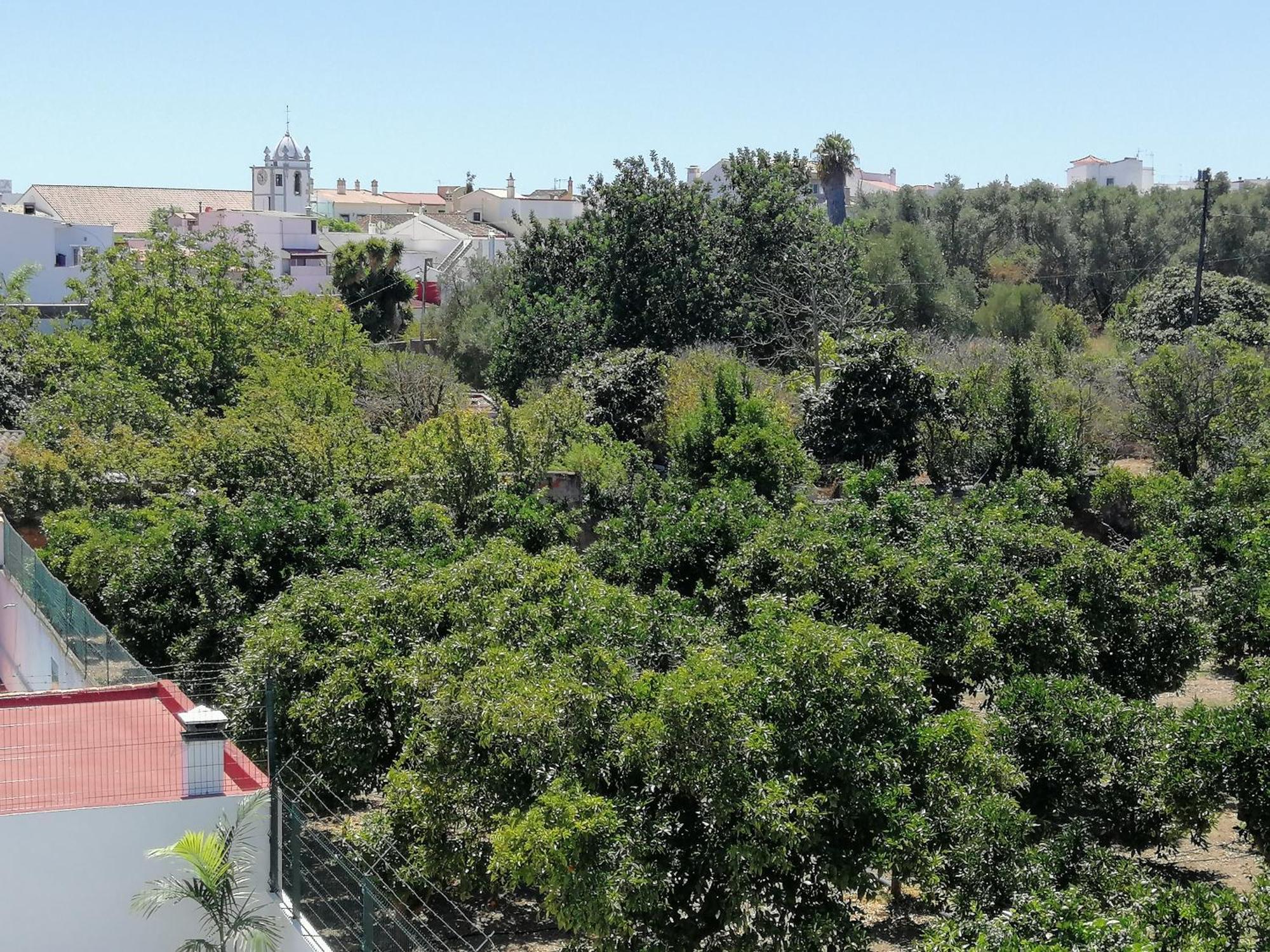Cerro E Mar * Moncarapacho