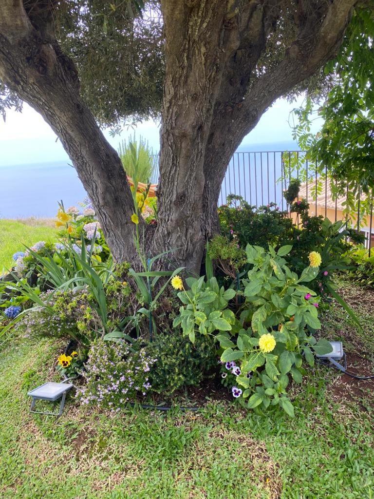 Casa De Holiday home