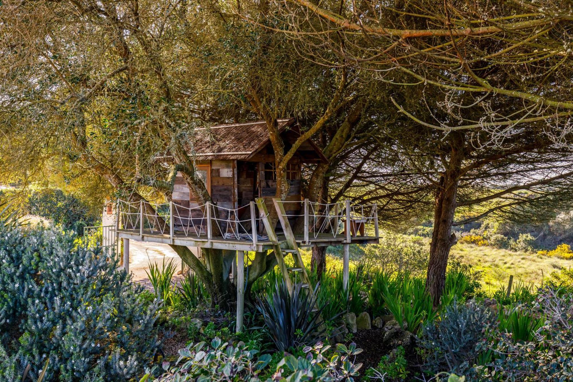 Sea House Holiday home