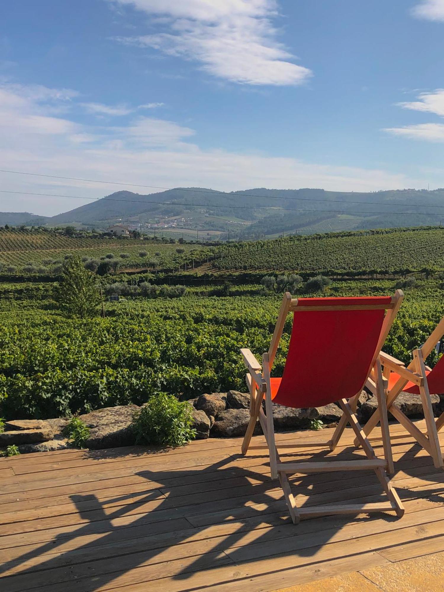Casa Dos Barros Winery By Vintage Theory Agroturismo