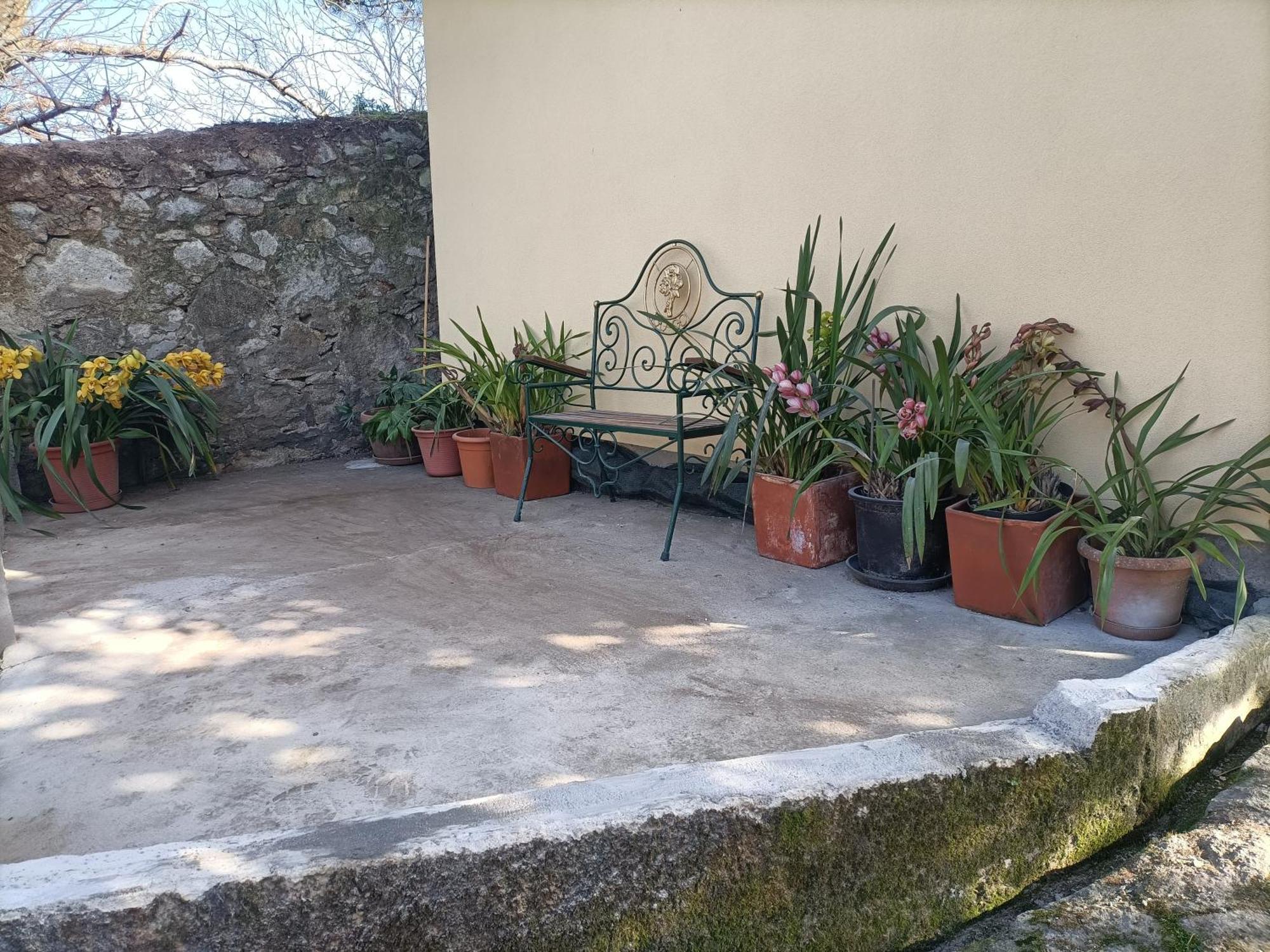 Casa De Santa Luzia B Holiday home Caminha