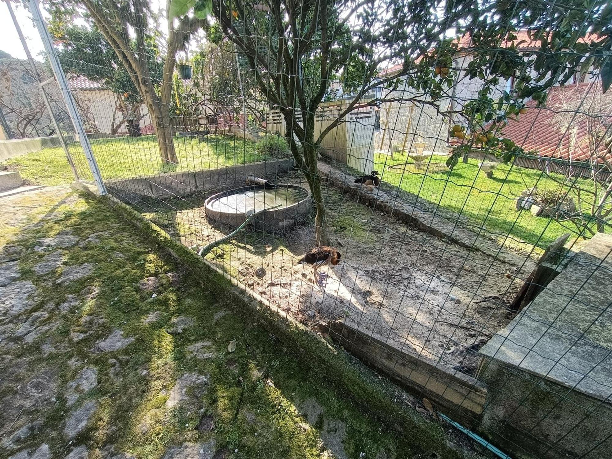 Holiday home Casa De Santa Luzia B Caminha