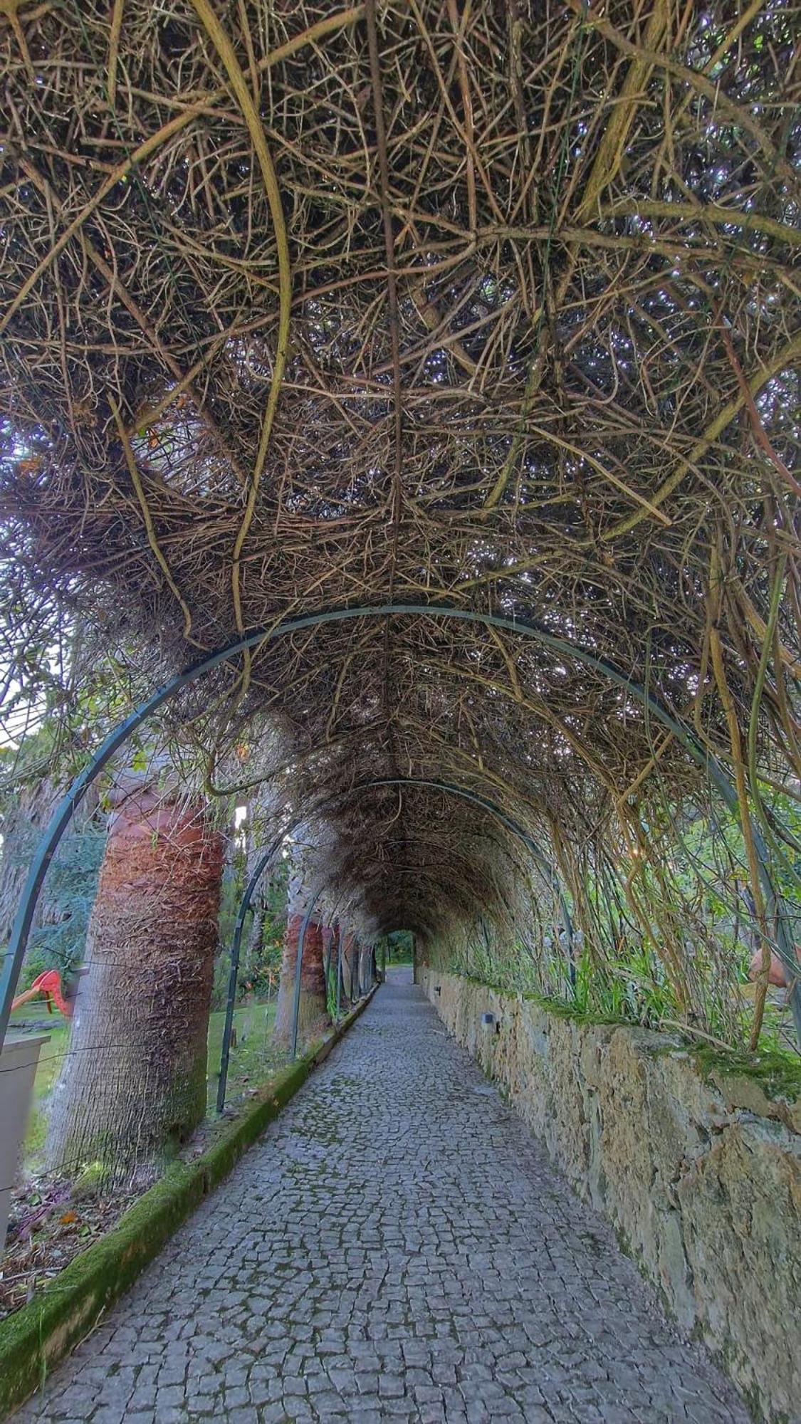 Quinta - Country house *