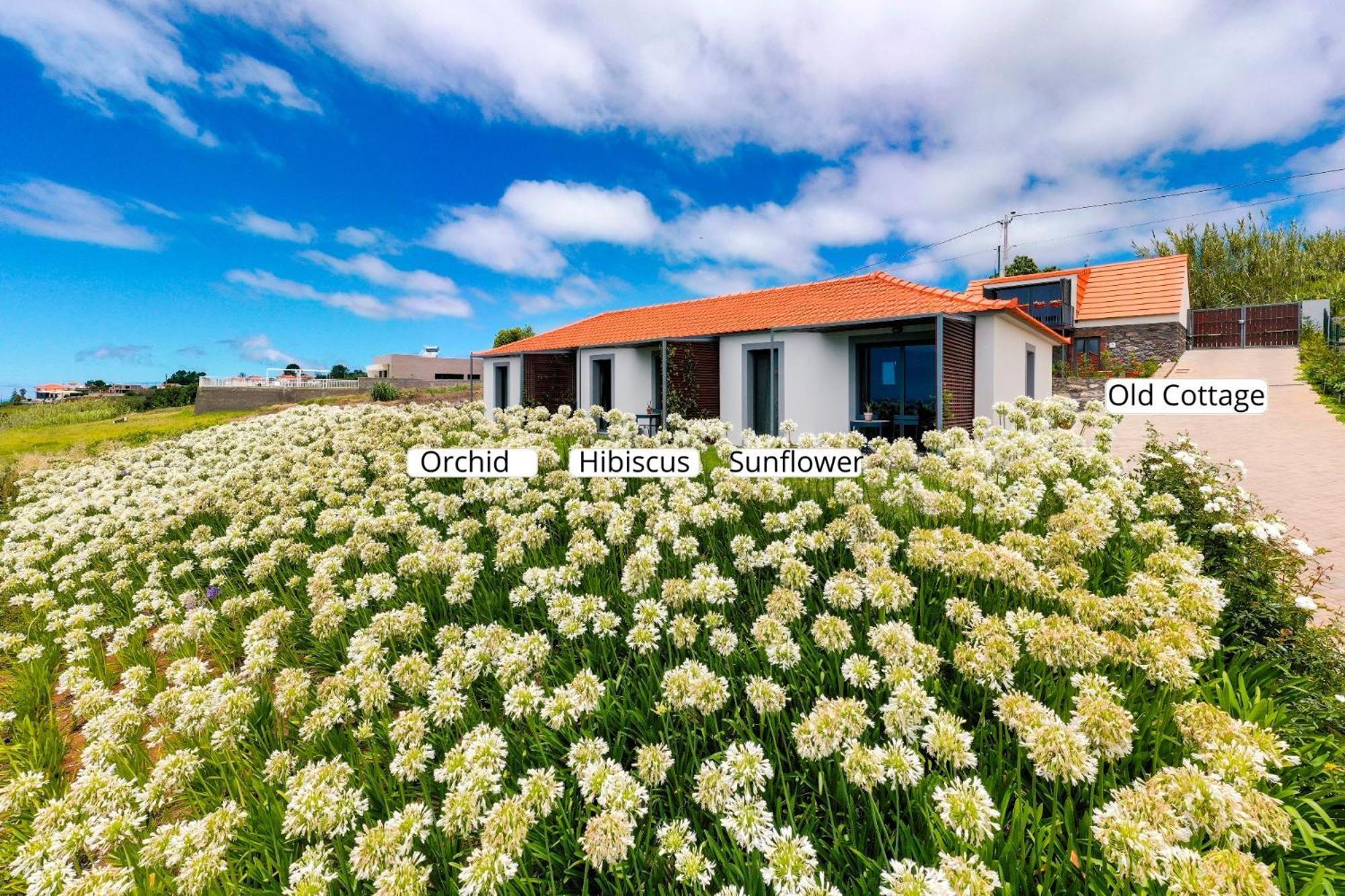 Apartment Ourmadeira - Quinta Inacia, Countryside Escape Calheta (Madeira)