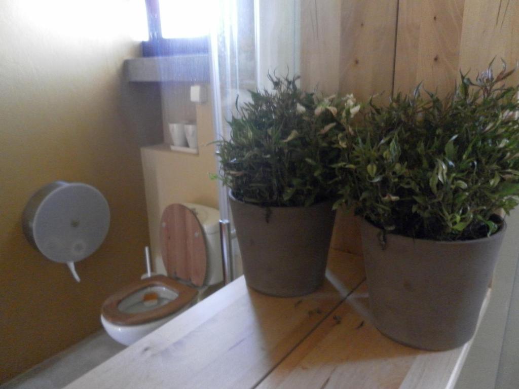 Lemon Tree Hostal *
