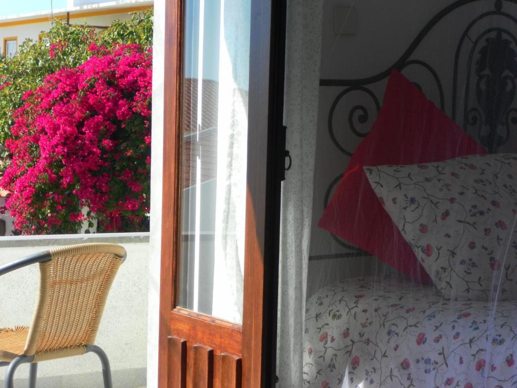 Lemon Tree Hostal Areia Branca