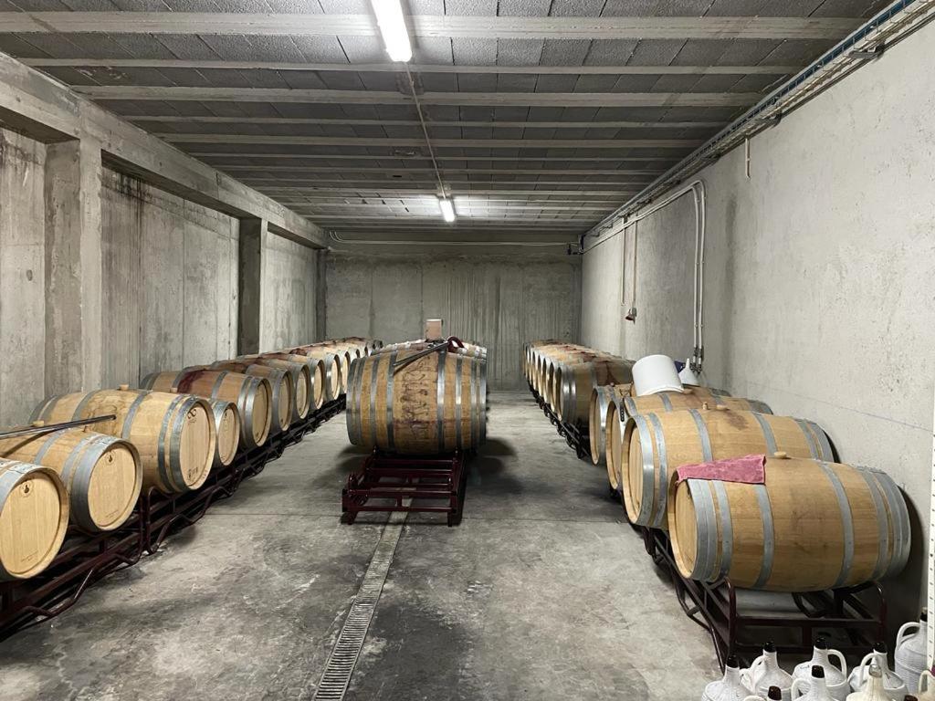 Quinta Da Penada - Vineyard & Winery - 3