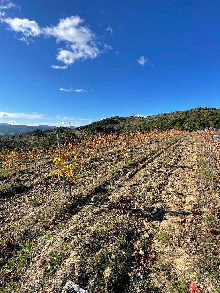 Quinta Da Penada - Vineyard & Winery - 3 Apartment