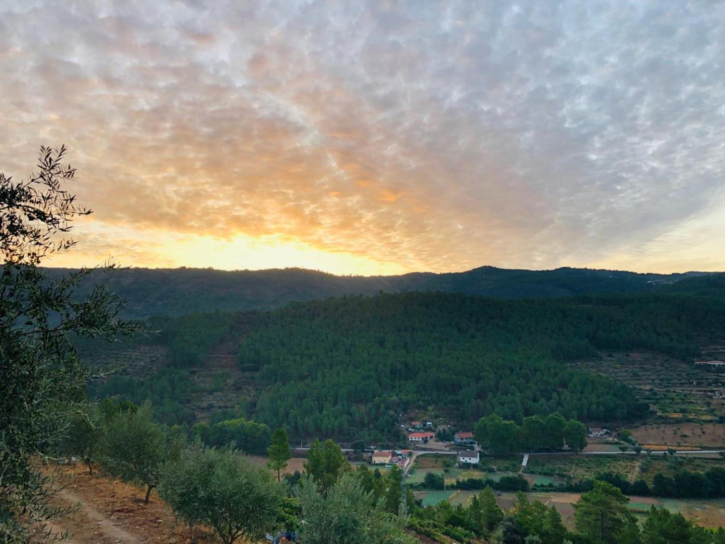 Quinta Da Penada - Vineyard & Winery - 3 Apartment Chaves