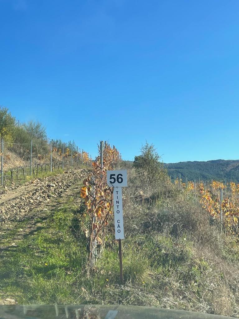 Quinta Da Penada - Vineyard & Winery - 3 *