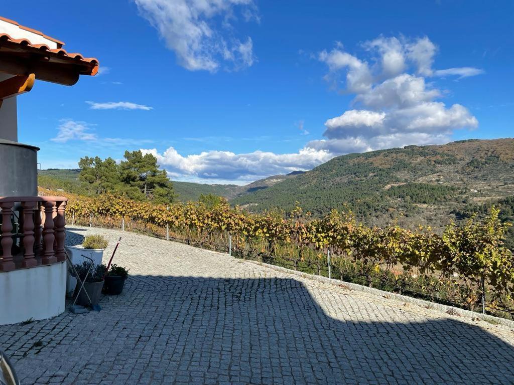 Quinta Da Penada - Vineyard & Winery - 3