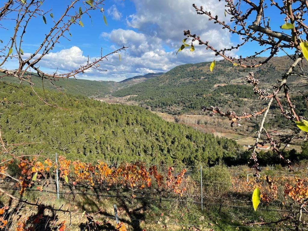 Apartment Quinta Da Penada - Vineyard & Winery - 3 *