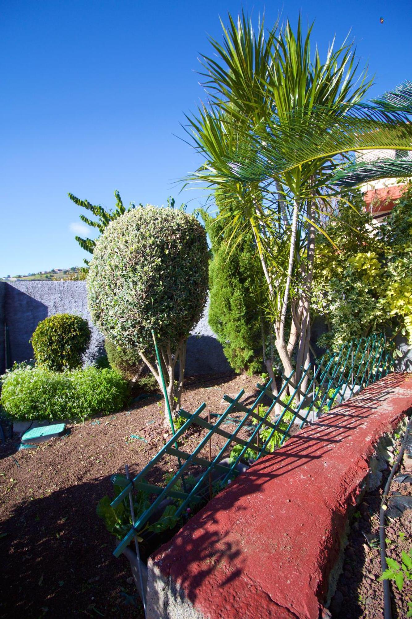 Casa Da Rainha Holiday home *